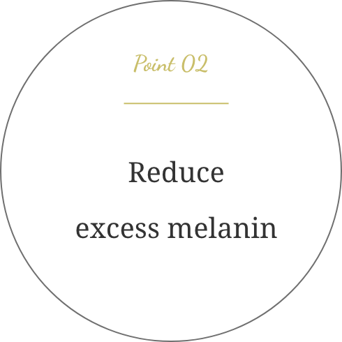 Point2 Reduce excess melanin