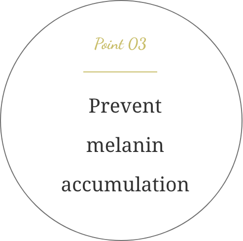 Point3 Prevent melanin accumulation