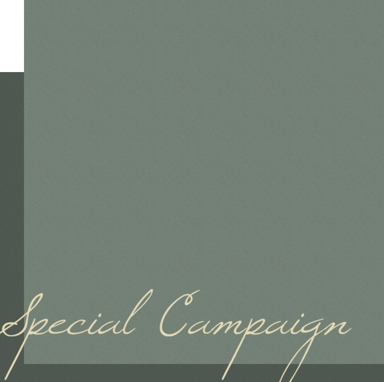 Special Campaign