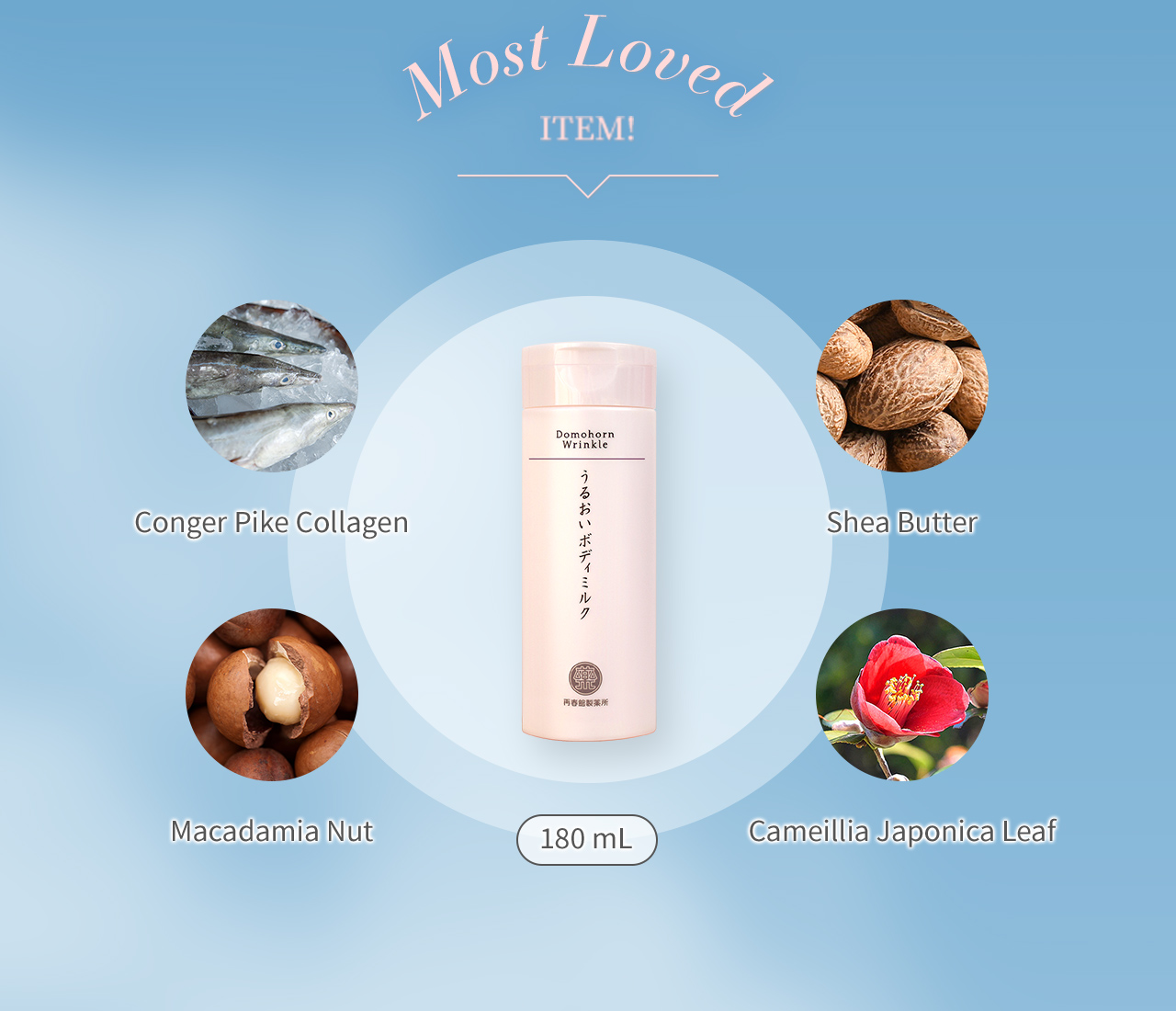Most Loved ITEM! 180mL Conger Pike Collagen Shea Butter Macadamia Nut Cameillia Japonica Leaf