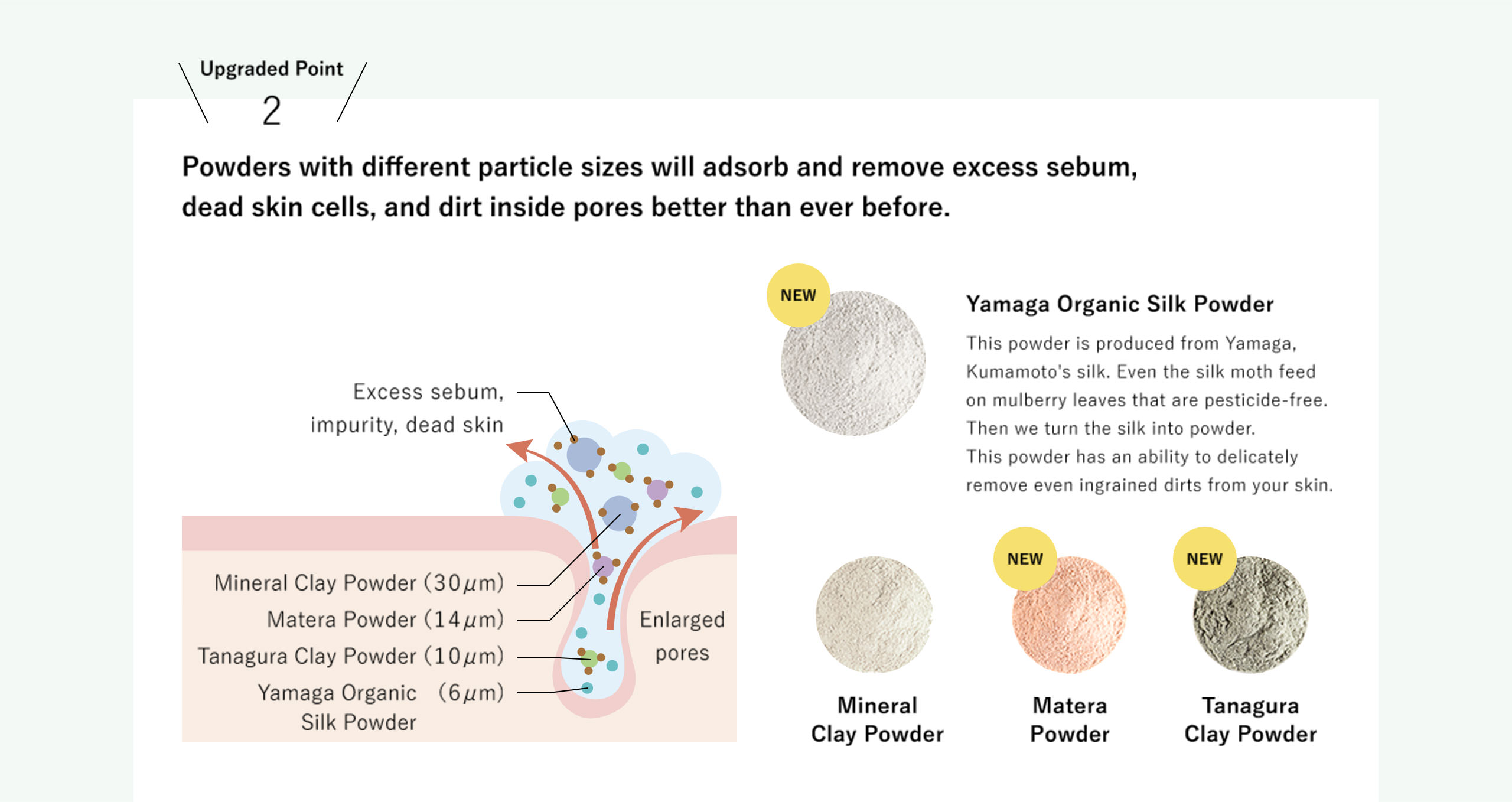 Upgraded Point 2: Powders with different particle sizes will adsorb and remove excess sebum, dead skin cells, and dirt inside pores better than ever before.